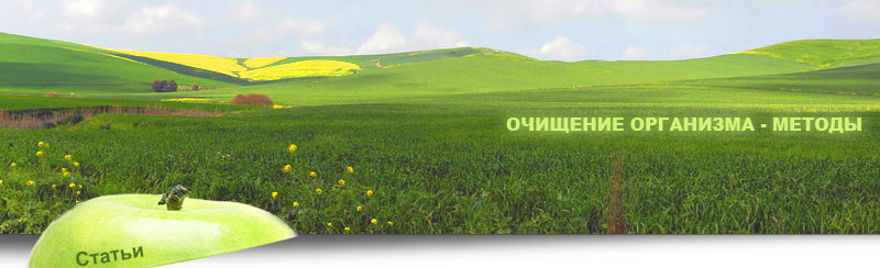 методы чистки организма от паразитов методы чистки организма от паразитов